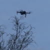 160 hectares de forêts rases à Hargnies et Haybes survolés par un drone de l’Office national des forêts !