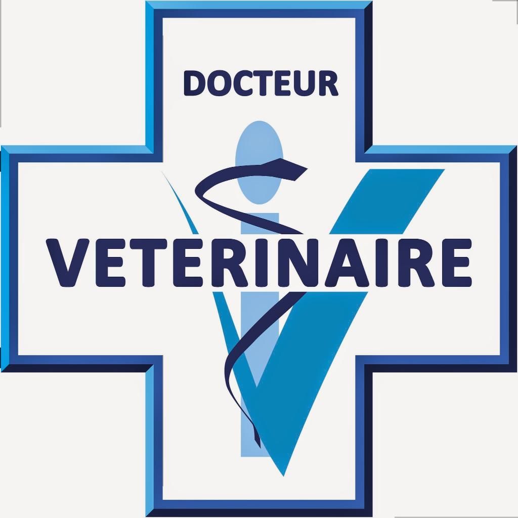 Arrière-plan