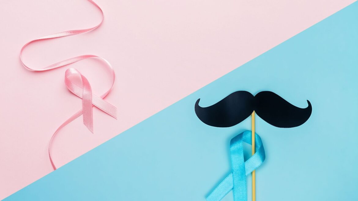 représentation du nœud rose de l'octobre rose, et du nœud bleu du moustache movember