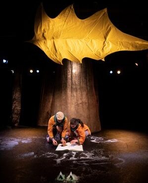 Photo du spectacle de danse "Sous la Feuille"