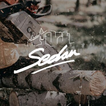 Abattage d'arbres lac de Sedan