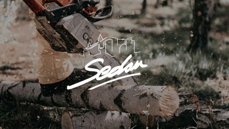 Abattage d'arbres lac de Sedan