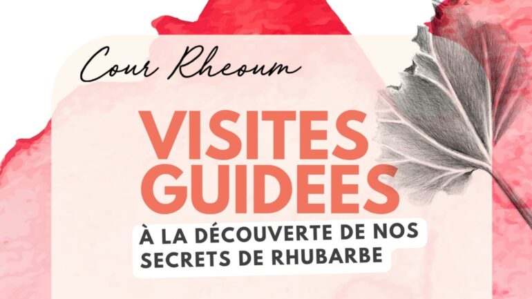 Bannière Cour Rheoum Visite Guidées à la découverte de la Rhubarbe