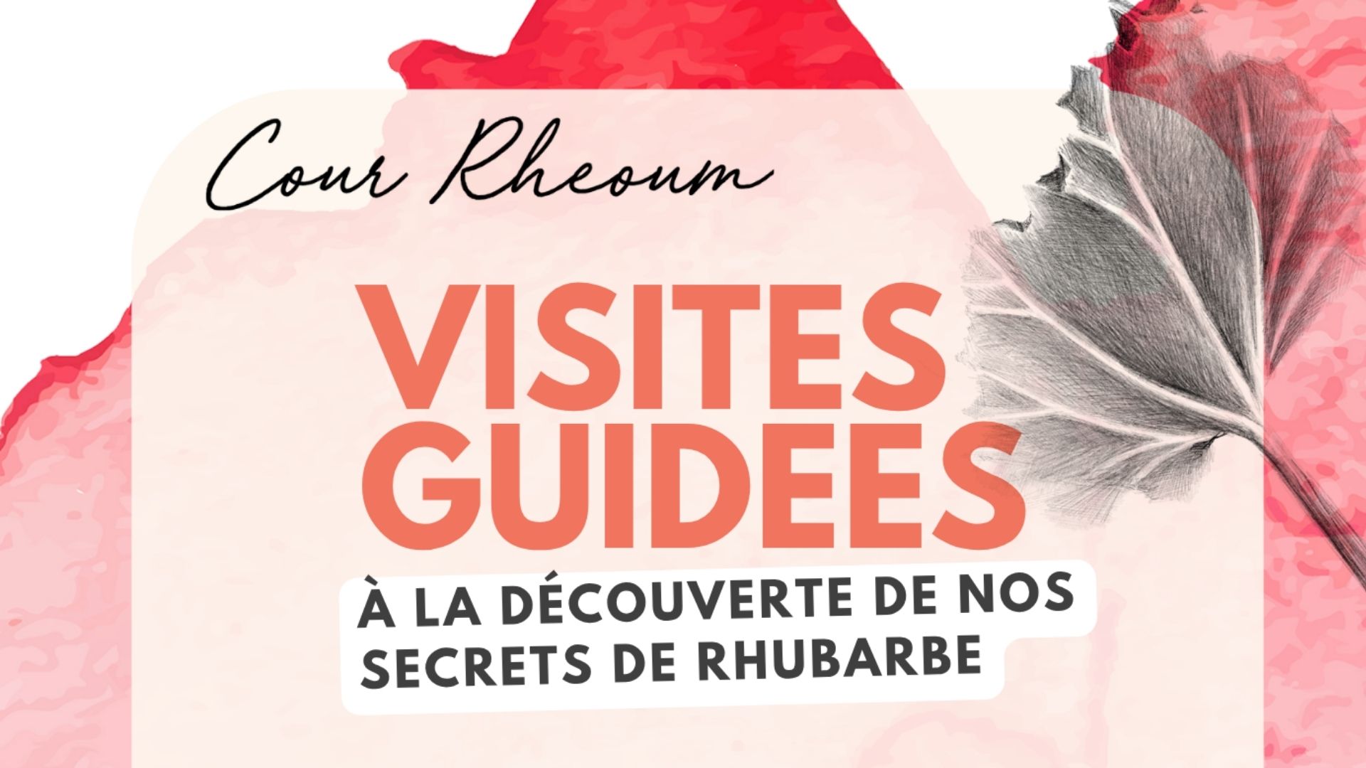 Bannière Cour Rheoum Visite Guidées à la découverte de la Rhubarbe