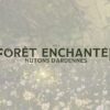 La Forêt enchantée des Nutons revient cet été à Sedan avec de nouvelles aventures