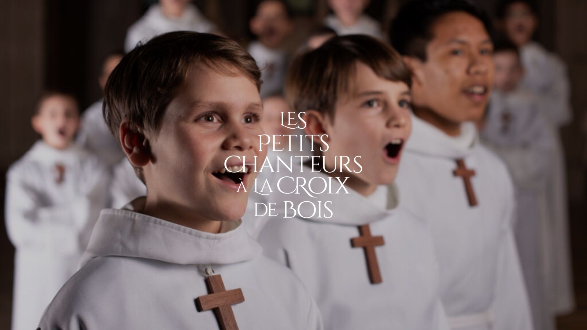 Photos des petits chanteurs à la croix de bois ainsi que leur logo