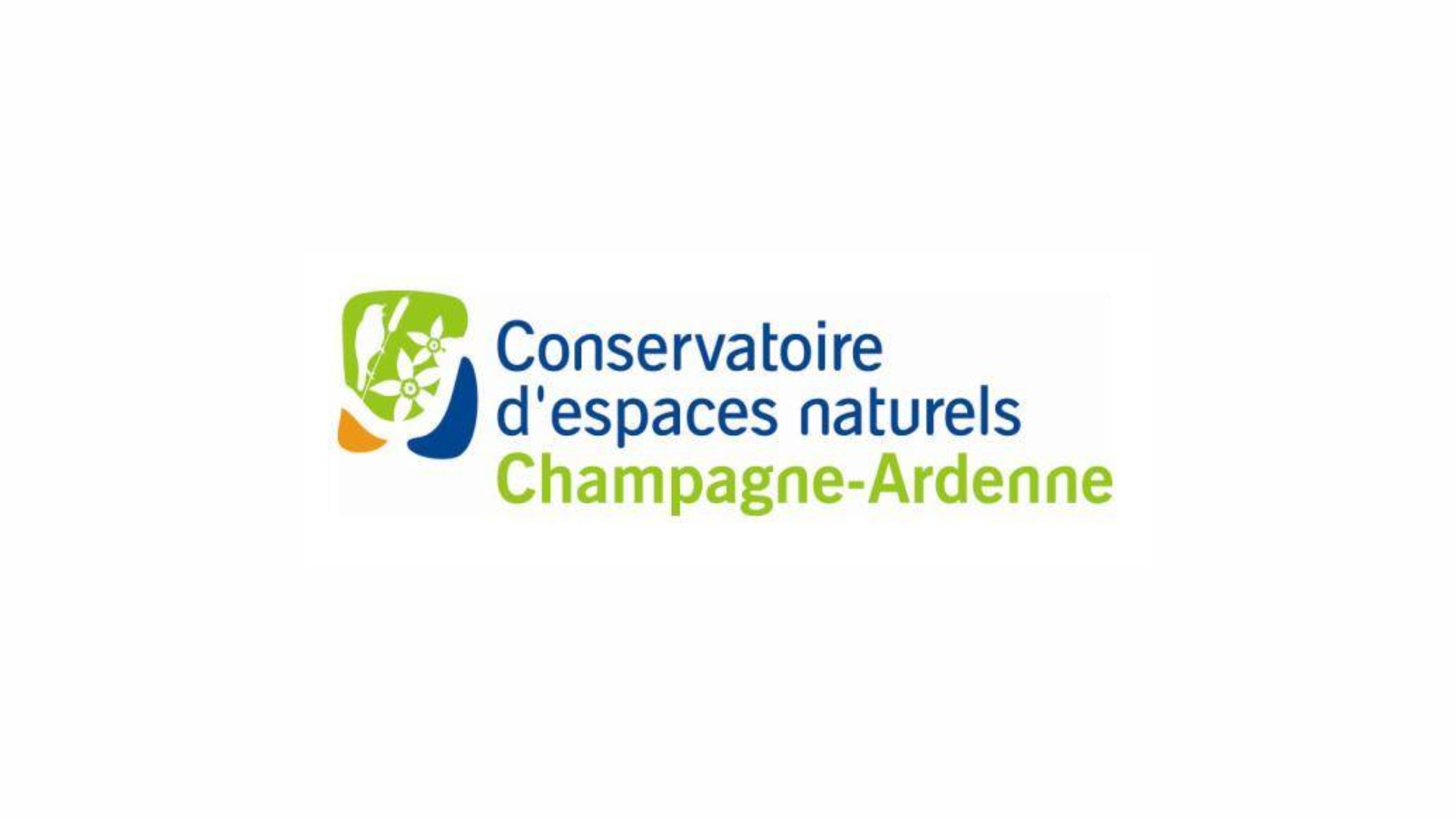 Arrière-plan