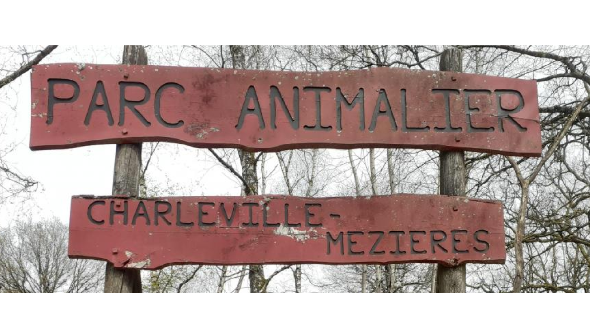 Arrière-plan